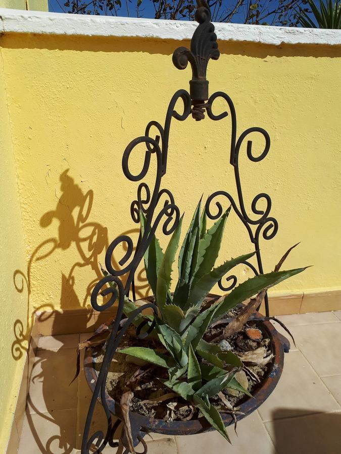 Chrysanthi Melitsa Apts. Sidari  Exterior photo