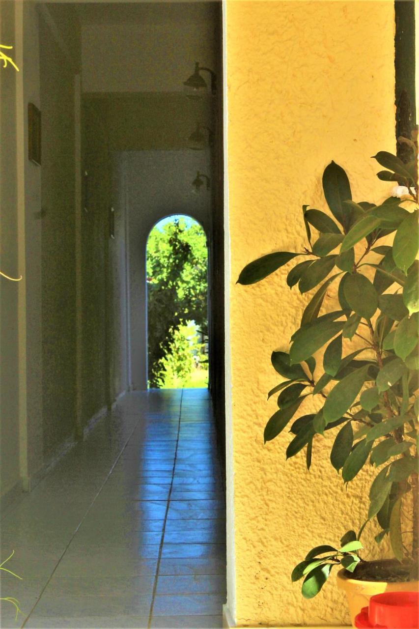 Chrysanthi Melitsa Apts. Sidari  Exterior photo
